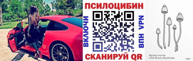 Галлюциногенные грибы ЛСД  MEGA зеркало  Судак 